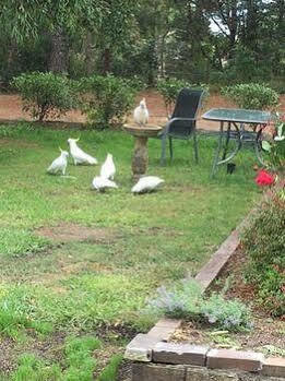 Country Motel Bundanoon